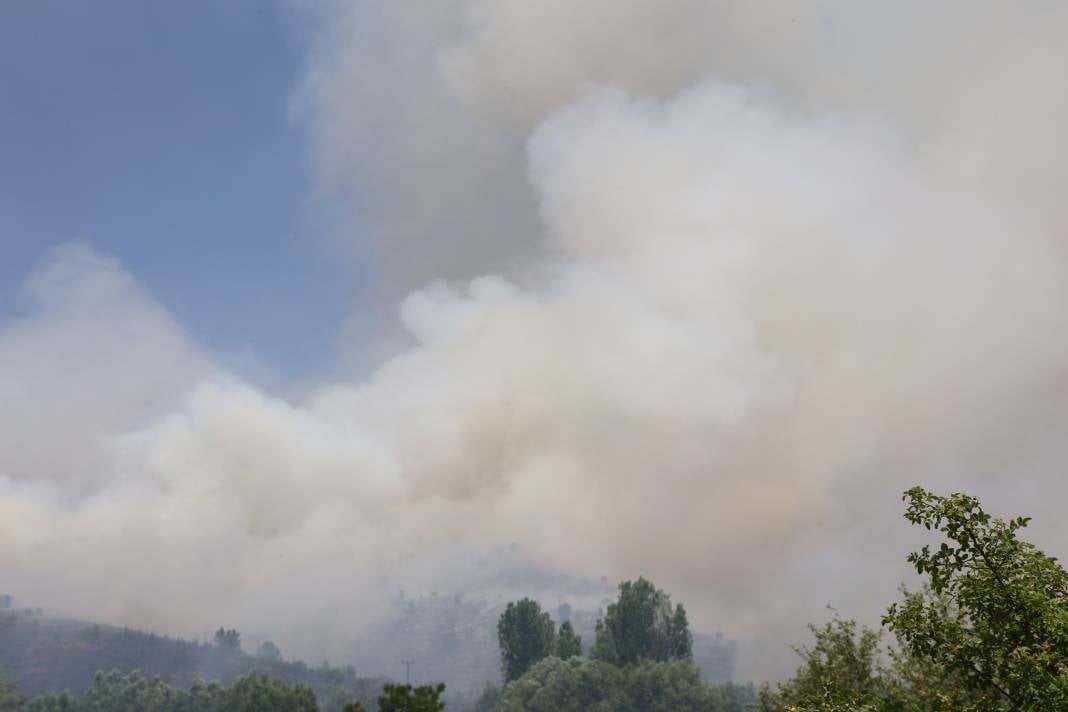 Elazığ'da orman yangını 38